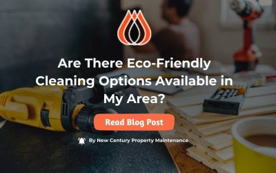 Are There Eco-Friendly Cleaning Options Available in My Area?