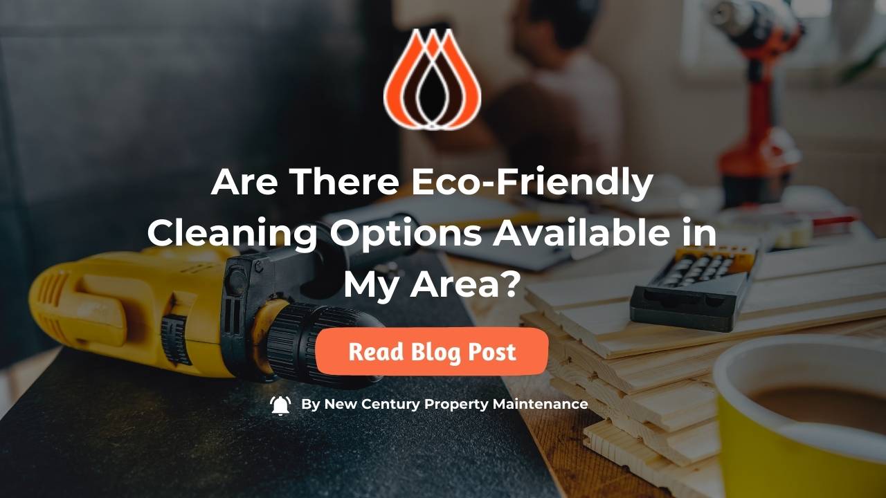 Are There Eco-Friendly Cleaning Options Available in My Area