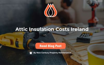 Attic Insulation Costs Ireland