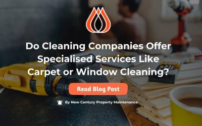 Do Cleaning Companies Offer Specialised Services Like Carpet or Window Cleaning?