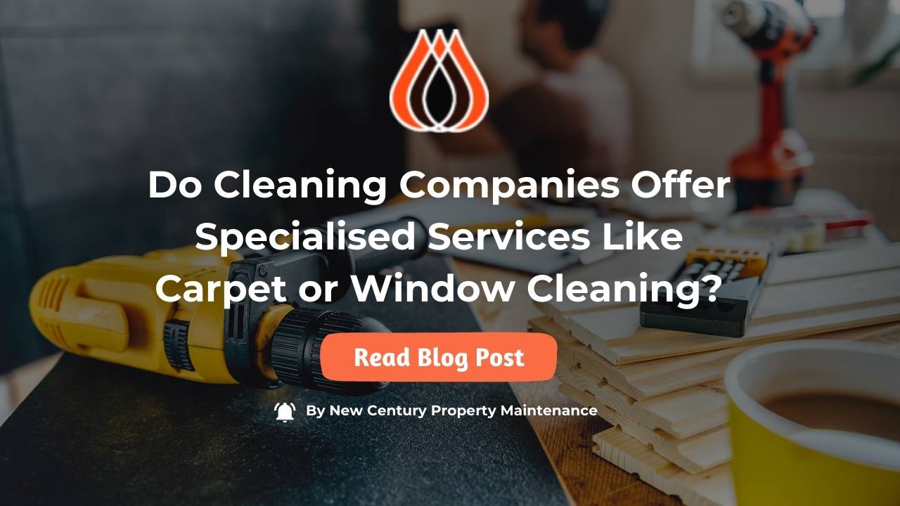 Do Cleaning Companies Offer Specialised Services Like Carpet or Window Cleaning