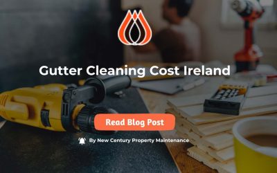 Gutter Cleaning Costs in Ireland