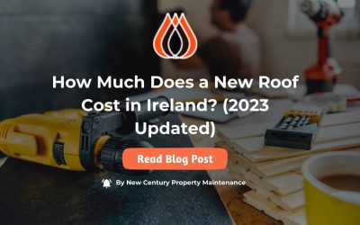 How Much Does a New Roof Cost in Ireland? (2024 Updated)