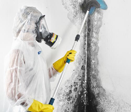 Mould-Removal-Service-Dublin