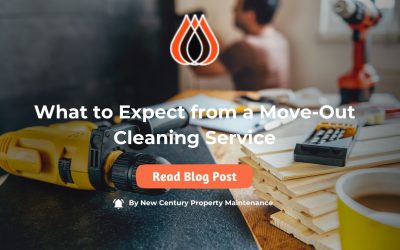 What to Expect from a Move-Out Cleaning Service?