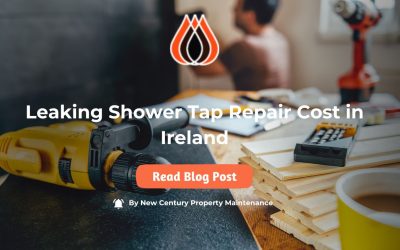 Leaking Shower Tap Repair Cost Ireland