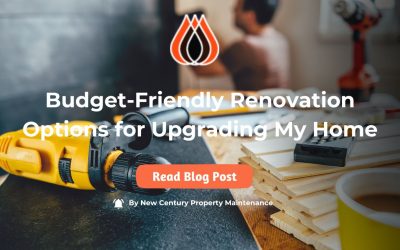 Are There Budget-Friendly Renovation Options for Upgrading My Home