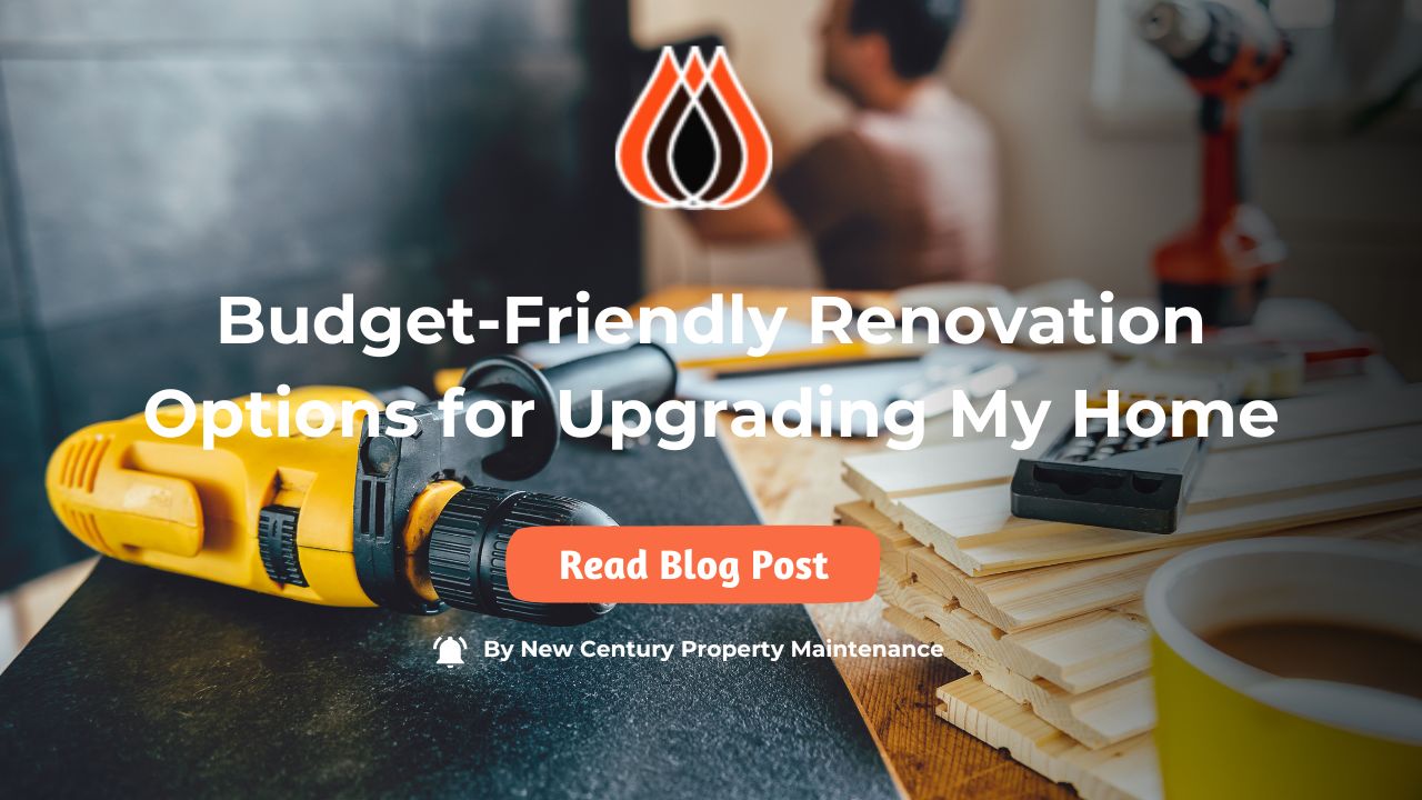 budget-friendly-renovation-options