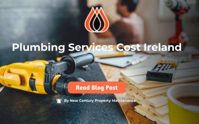 Plumbing Services Cost Ireland